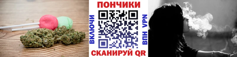 дарнет шоп  Кудымкар  Canna-Cookies конопля 