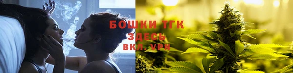 мдпв Богородск