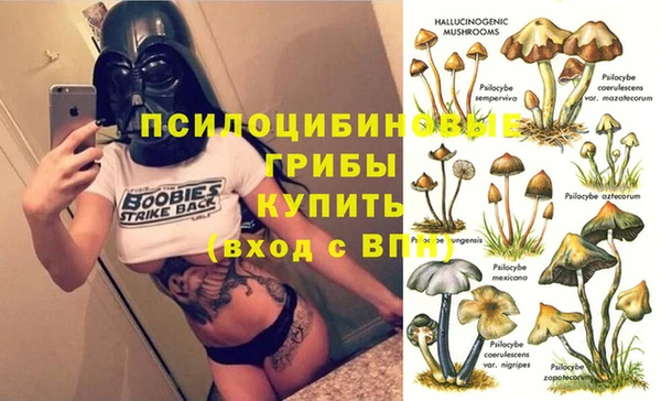 мяу мяу мука Навашино