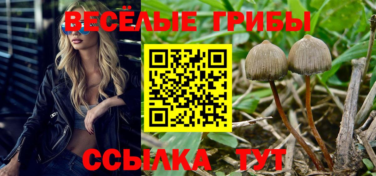 Псилоцибиновые грибы мухоморы Кудымкар