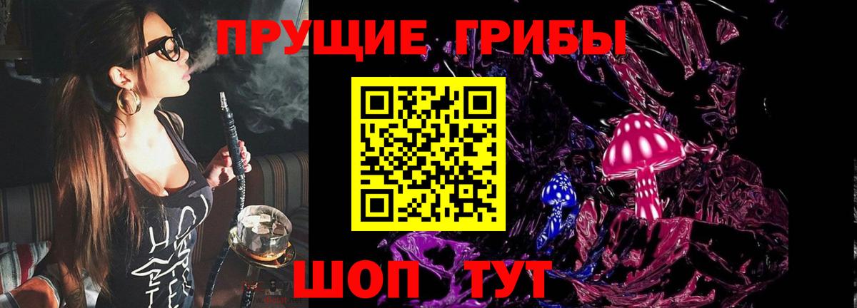 Псилоцибиновые грибы Psilocybine cubensis  Кудымкар 